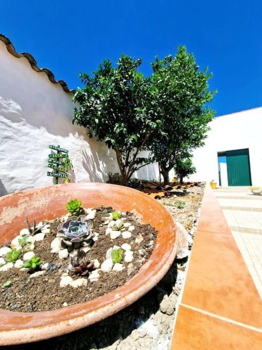 Casa Da Enxota Villa Povoa de Sao Miguel Ngoại thất bức ảnh